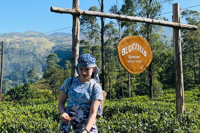 7 Days Cultural Tour of Sri Lanka with Private Chauffeur - Who Would Benefit Most from This Experience?