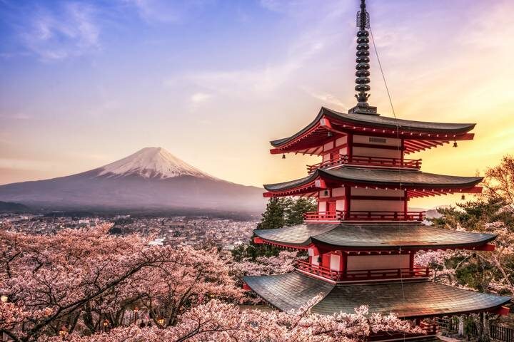 7 Days Customized Tokyo and Kansai Classic Tour (private guide & driver) by UME Travel - At a glance