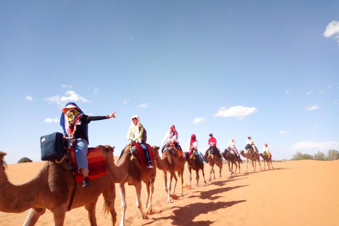 7 Days Cycling Road From Marrakech to Erg Chabi in Morocco - Day 6: Merzouga - Alnif - Agdz
