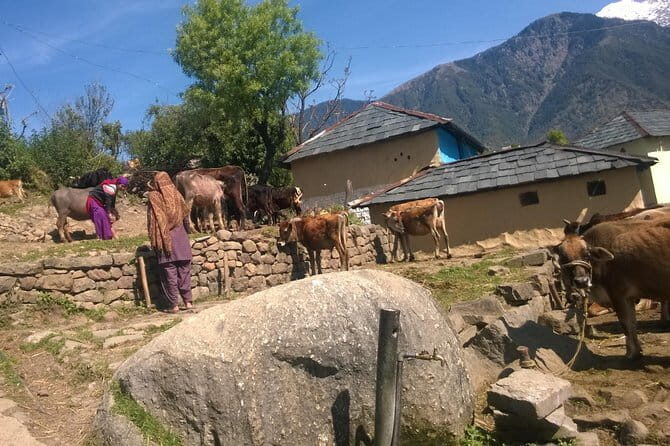 7 Days Dharamsala - Dalai Lama home Trek - Who Will Love This Experience?