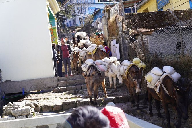 7-Days Dudh Kunda Private Trek From Kathmandu With Flights - Day 2: Trek to Takshindu