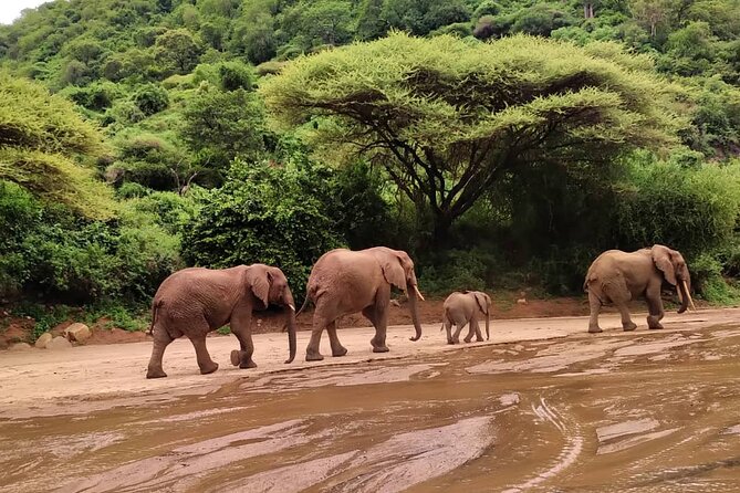 7 Days Endless Plains Safari - Luxury - Delicious Meals Served Daily