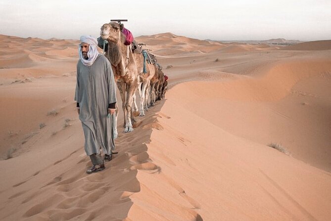 7 Days Erg Zahar & Sidi Naji – Desert Trek From Marrakech - Good To Know