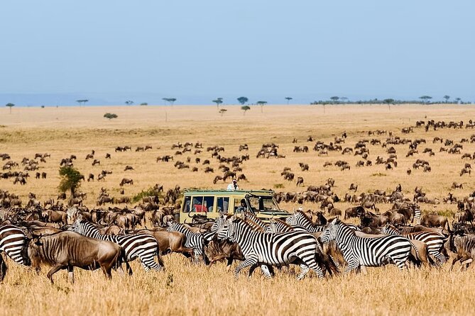 7 Days Exciting Tanzania Safari Wildebeest Migration - Pickup and Drop-off