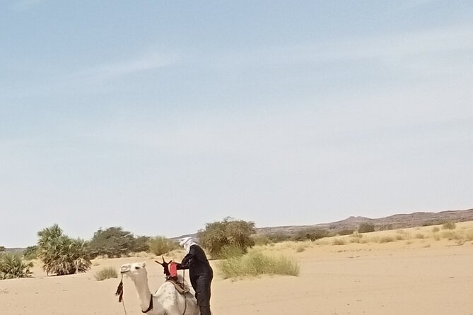7 Days Excursion in the Desert North of Djanet - Day 1: Arrival and Orientation