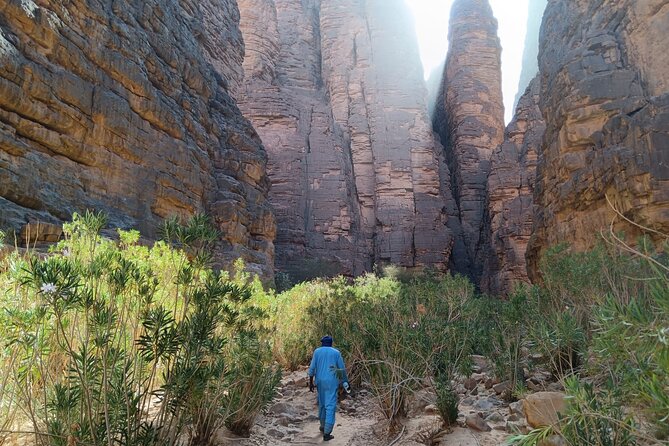 7 Days Excursion in the Desert North of Djanet - Day 6: Adventure Activities