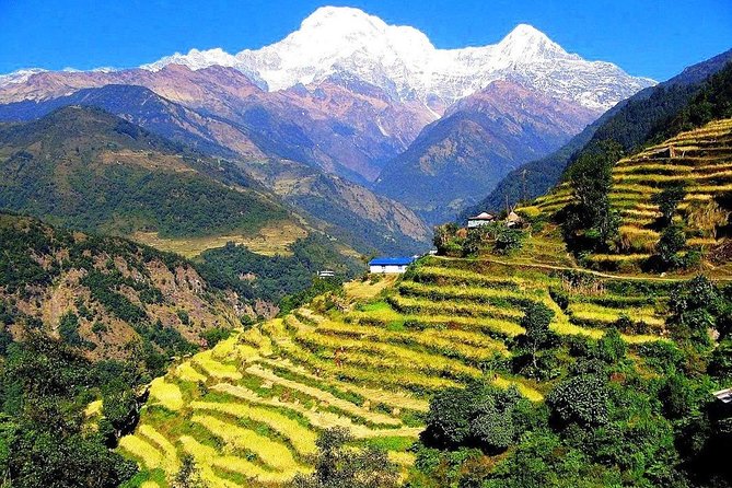 7 Days Ghorepani Poonhill Ghandruk Trek From Kathmandu - Trek Itinerary