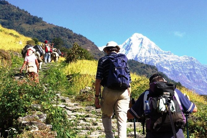 7 Days Ghorepani Poonhill Ghandruk Trek From Kathmandu - Meeting and Pickup Information