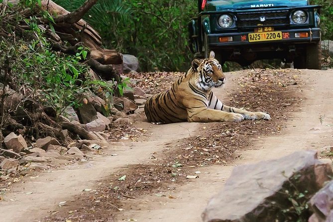 7 Days Golden Triangle Tour & Ranthambore Tiger Safari - Transportation Information