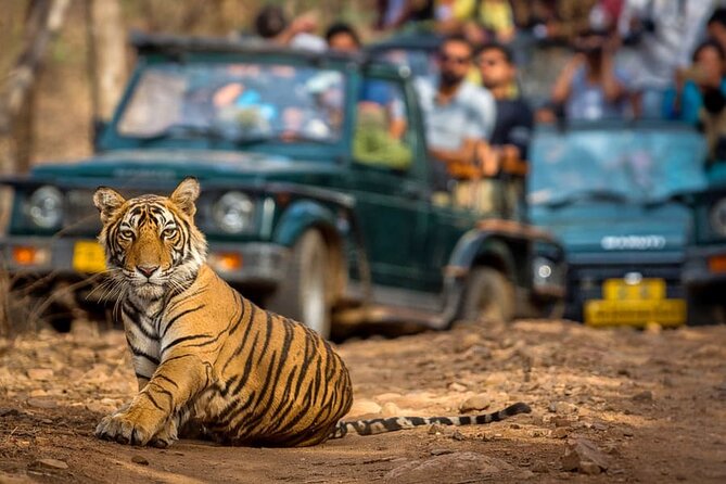 7 Days Golden Triangle Tour With Ranthambore & Varanasi Tour - Pricing and Booking Information