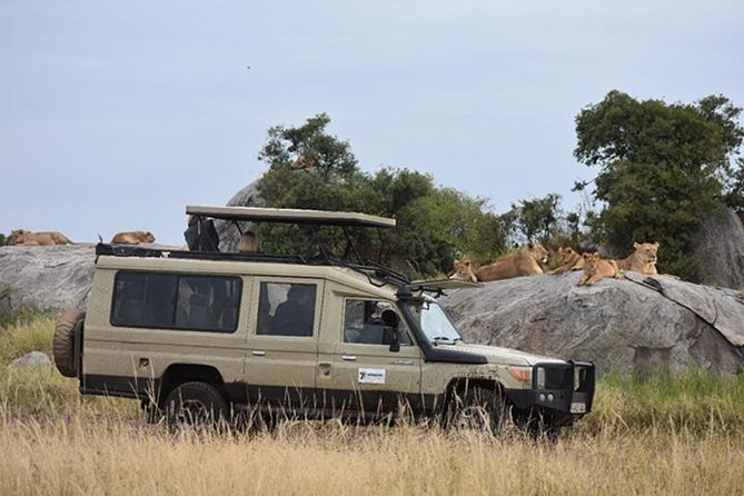 7 Days: Great Migration Mara River Crossing(manyara, Ngorongoro And Serengeti) - Cancellation Policy