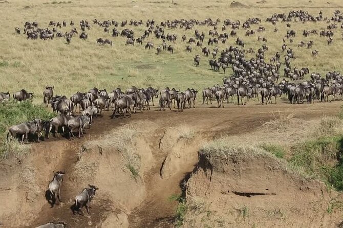 7 Days Group Camping Tarangire/Serengeti/Ngorongoro Crater and Lake Manyara - Day 6: Free Day in Arusha