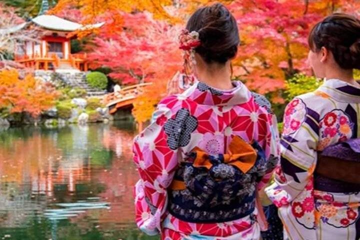 7 Days Highlights of Japan by Tomato Travel - At a glance