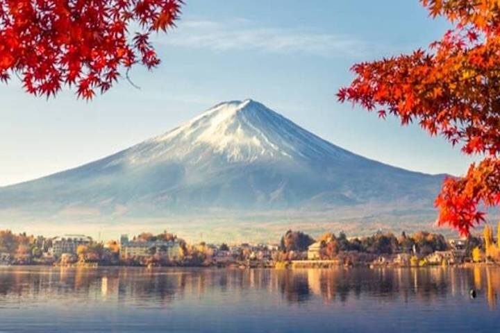 7 Days Highlights of Japan by Tomato Travel - Seven days, five stops, plenty of ground to cover