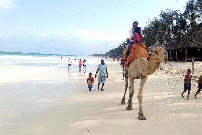 7 Days Holiday Vacation In Diani (MINIMUM 2 PAX) - Meals and Inclusions