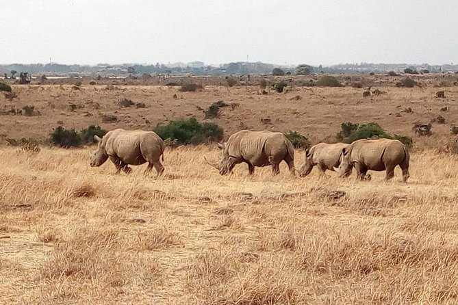 7-Days Honeymooners Tours - Included Meals and Inclusions