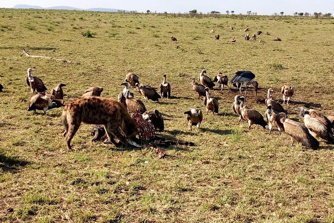 7-Days Honeymooners Tours - Pricing and Guarantee