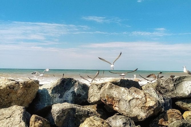 7 Days in Batumi, Georgia - Experience Batumis Nightlife