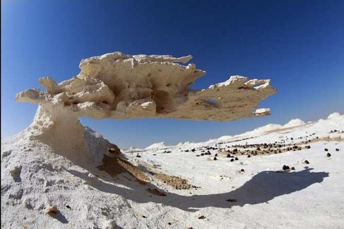 7-Days in Cairos Hottest Sites - Day 6: Cultural Immersion in Cairo