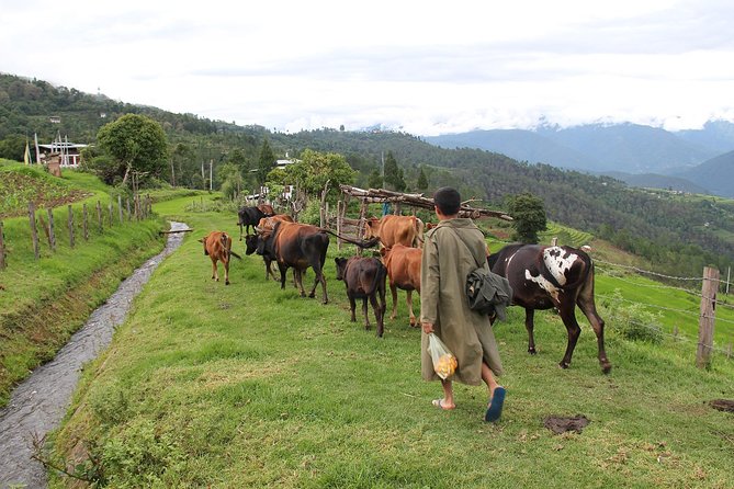 7 Days In The Magical Kingdom of Bhutan - Good To Know
