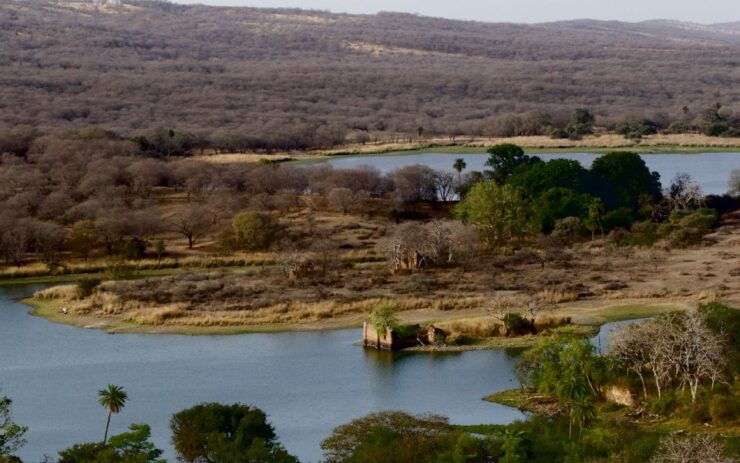 7 Days India Taj Mahal Tour With Ranthambore Tiger Safari - Tour Pricing and Duration