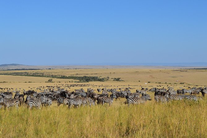 7 Days Itinerary Touring Masai Mara, Nakuru, Amboseli, Both Tsavo Ending Mombasa - Good To Know