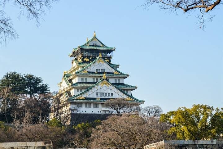 7 Days Japans Cultural & Thrilling Family Adventures by UME Travel - Day 3: A shrine, street fashion, and Tokyo from above