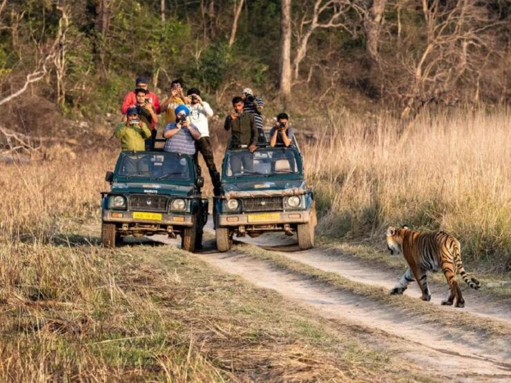 7 Days Jim Corbett Nainital Tour With Taj Mahal Tour - Tour Overview