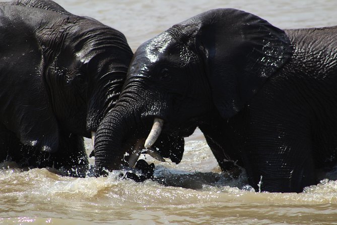 7 Days Johannesburg and Cape Town Tour With a Safari - Cancellation Policy