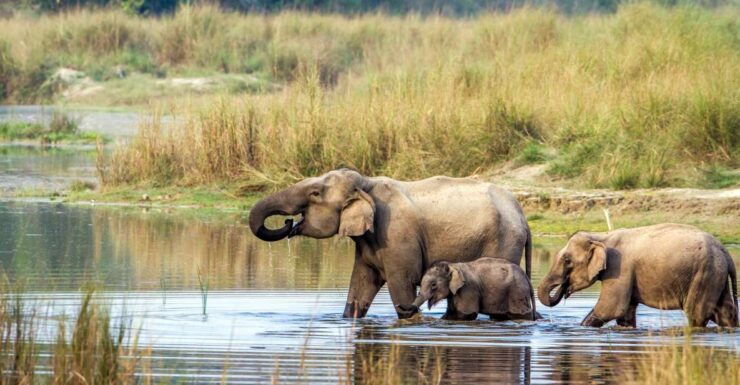 7 Days Kathmandu, Pokhara & Chitwan Safari Tour - Tour Overview