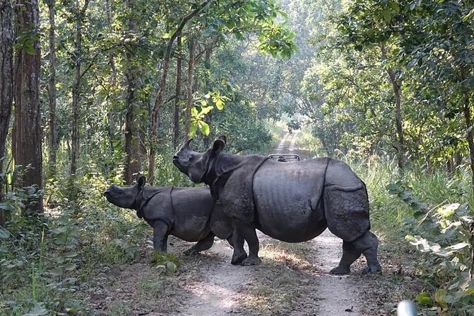 7 Days Kathmandu,Pokhara ,Chitwan and Lumbini Tour - Day 1: Kathmandu Sightseeing