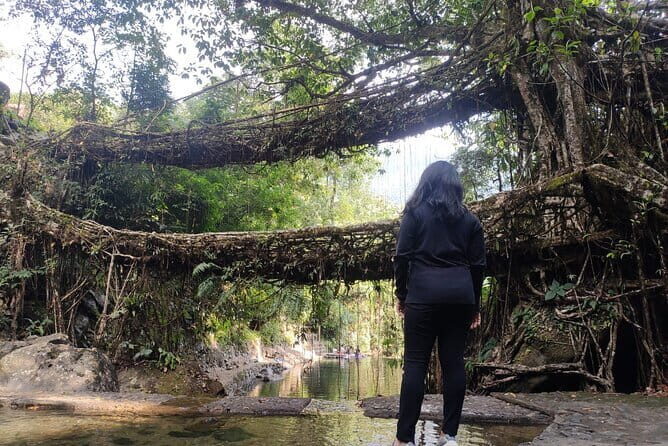 7 days kaziranga meghalaya tour package - What’s Included and What’s Not