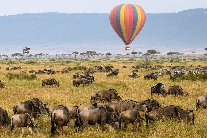 7 Days Kenya Luxury Holiday Safari - Accommodation and Lodging Details