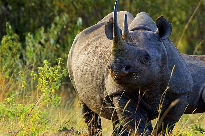 7 Days Kenya Safari Holiday Package - Frequently Asked Questions
