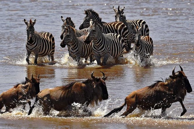 7 Days Kenya Tented Camp Safari Holiday Package - Accommodation Details