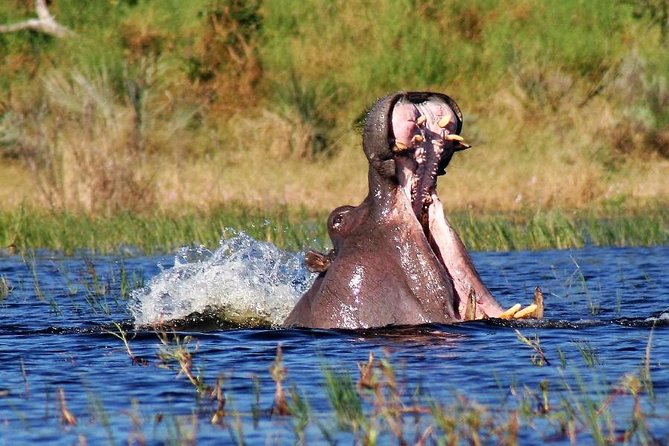 7 Days Kenya Tented Camp Safari Holiday Package - Travel Tips
