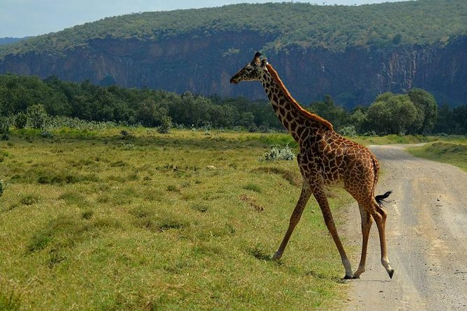 7 Days Kenya Tented Camp Wildlife Safari - Health and Safety Reminders