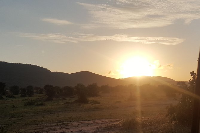 7 Days Kenya Tour Budget Safari - Transportation Services