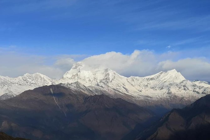 7 Days Khopra Danda Trek From Pokhara - Common Questions