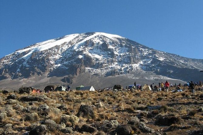7 Days Kilimanjaro Climb Machame Route - Frequently Asked Questions