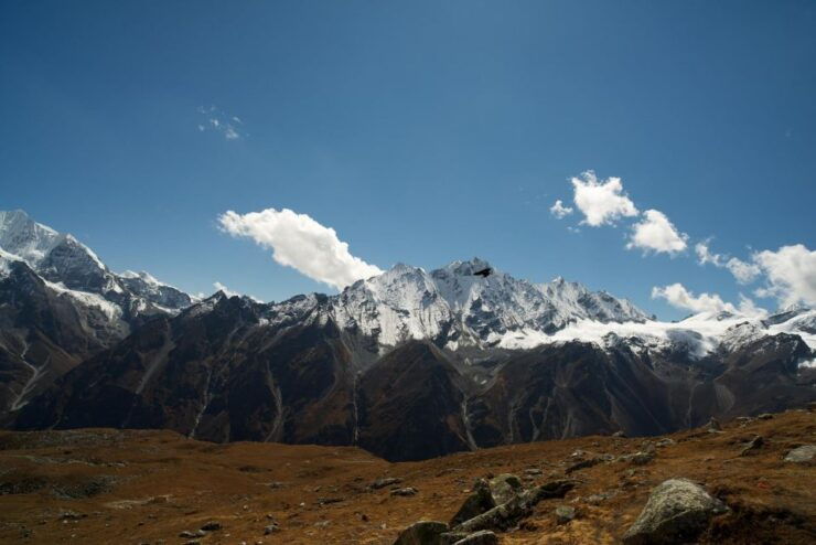 7 Days Langatang Valley Trek From Kathmandu - Experience Highlights
