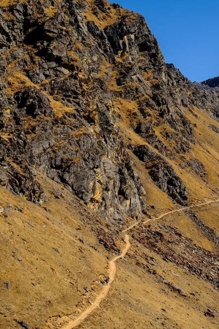 7 Days Langtang Valley Trekking (From Kathmandu) - Inclusions and Exclusions