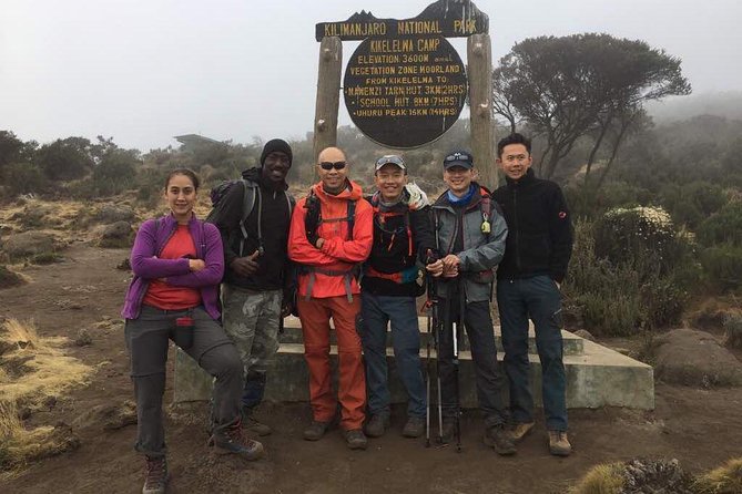 7 Days Lemosho Route - Highlights