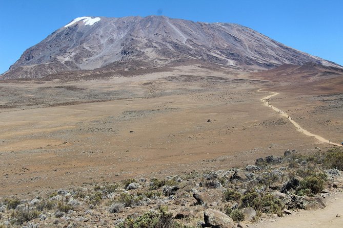 7 Days Lemosho Route - Meals