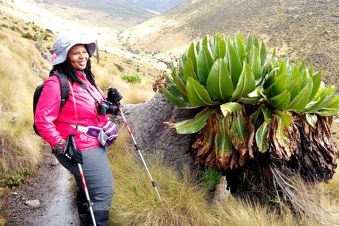 7 Days Lemosho Route - Climb Mount Kilimanjaro - Tips for Success