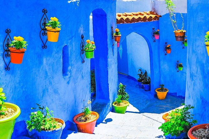 7 Days Luxury Desert Tour From Casablanca to Marrakech via Fez -Camel Trekking - Transportation and Logistics