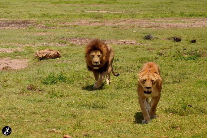 7 Days Maasai Mara - Lake Nakuru - Lake Naivasha - Amboseli Safari - Reviews and Testimonials