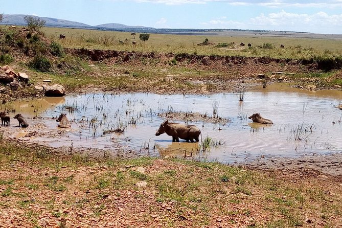 7 Days Maasai Mara, Lakes Nakuru, Naivasha & Amboseli Group Tour - Itinerary Highlights