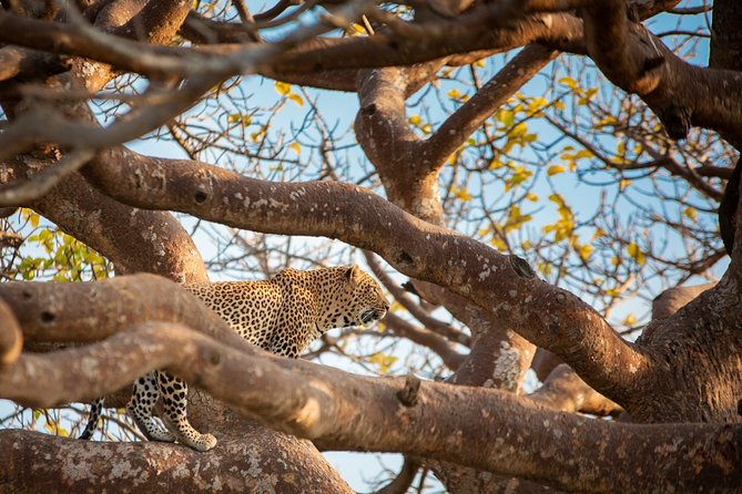 7 Days Maasai Mara, Lakes Nakuru, Naivasha & Amboseli Group Tour - Additional Information