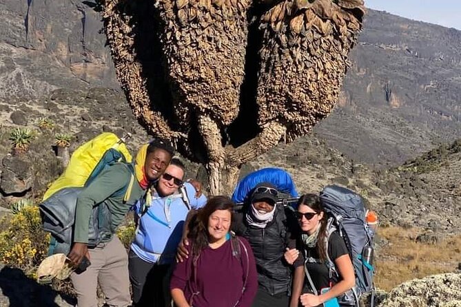 7 Days Machame Route, Kilimanjaro Climbing - Meals
